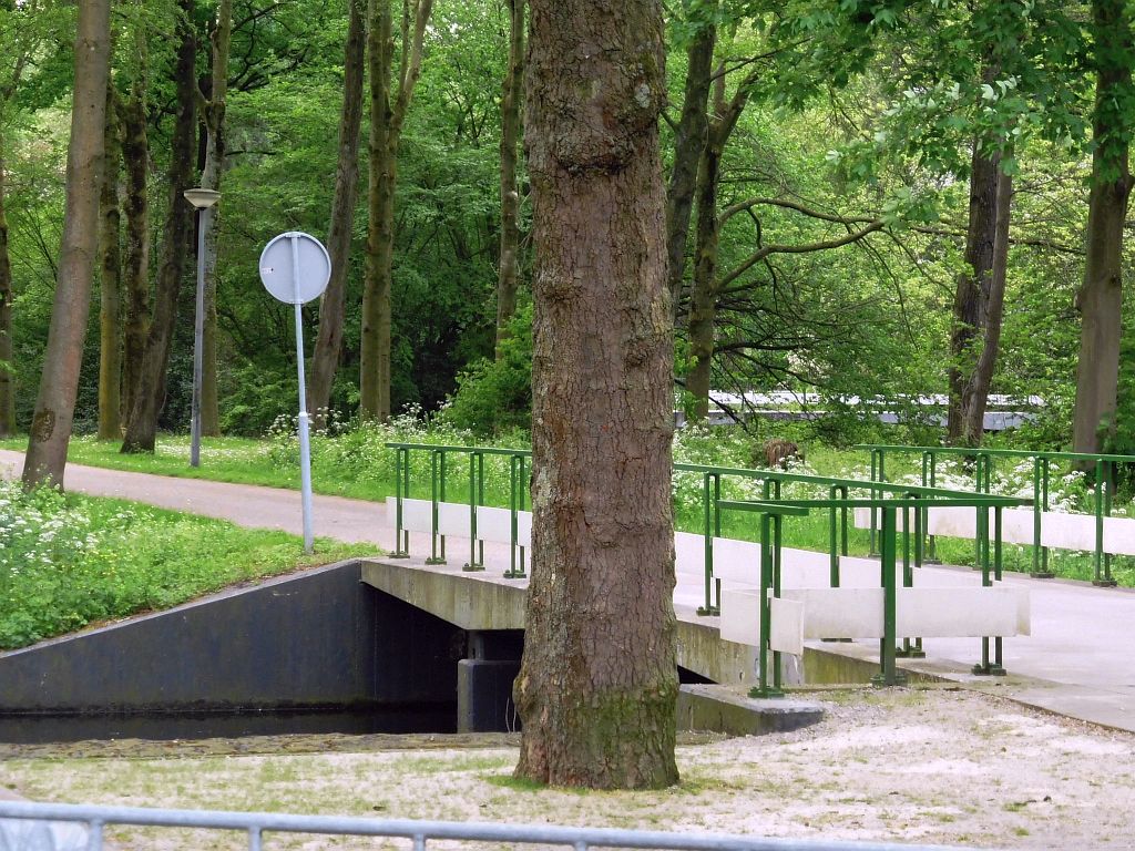 Brug 826 - Amsterdam