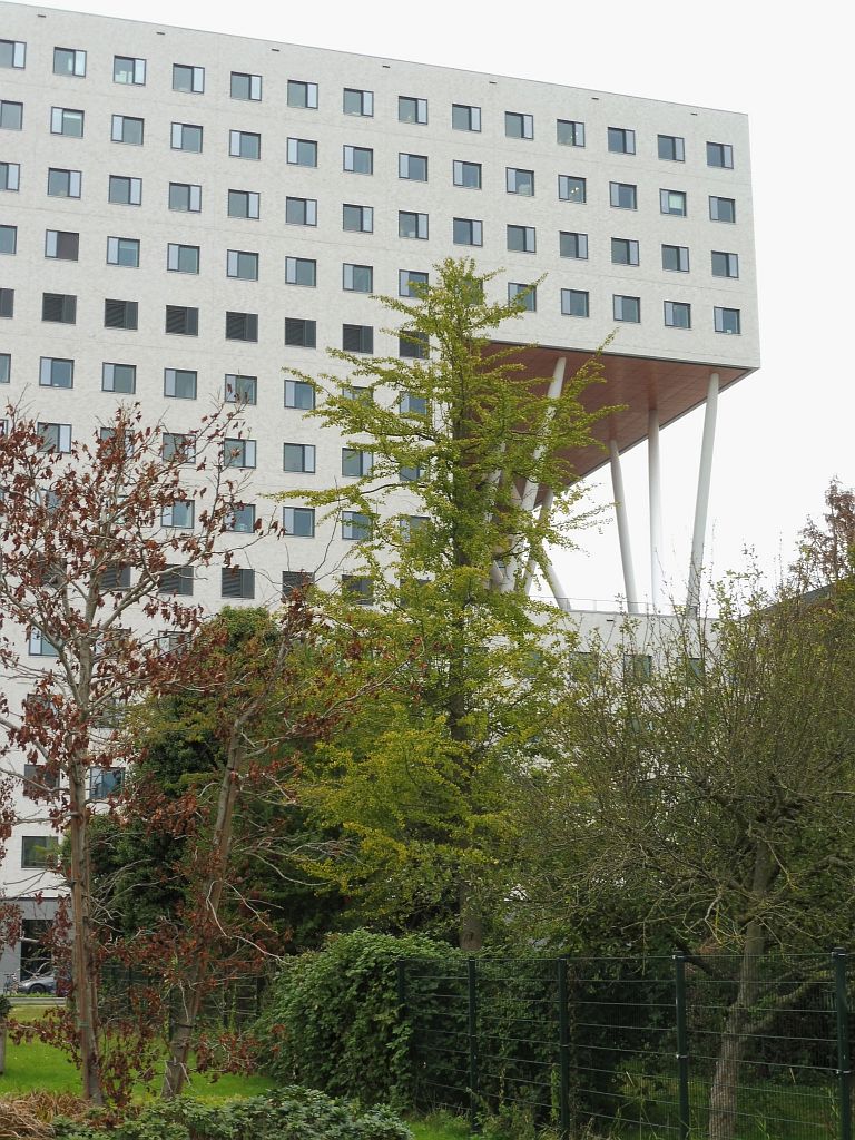 Vrije Universiteit Academisch Centrum O|2 - Amsterdam