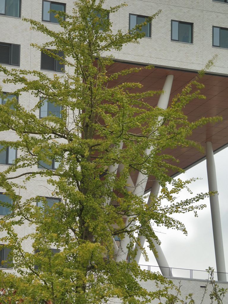 Vrije Universiteit Academisch Centrum O|2 - Amsterdam