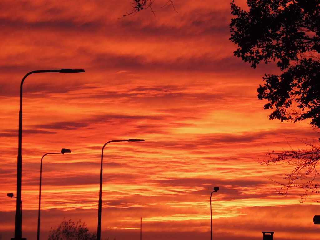 Bosrandweg - Rotonde Nieuwe Meerweg - Amsterdam