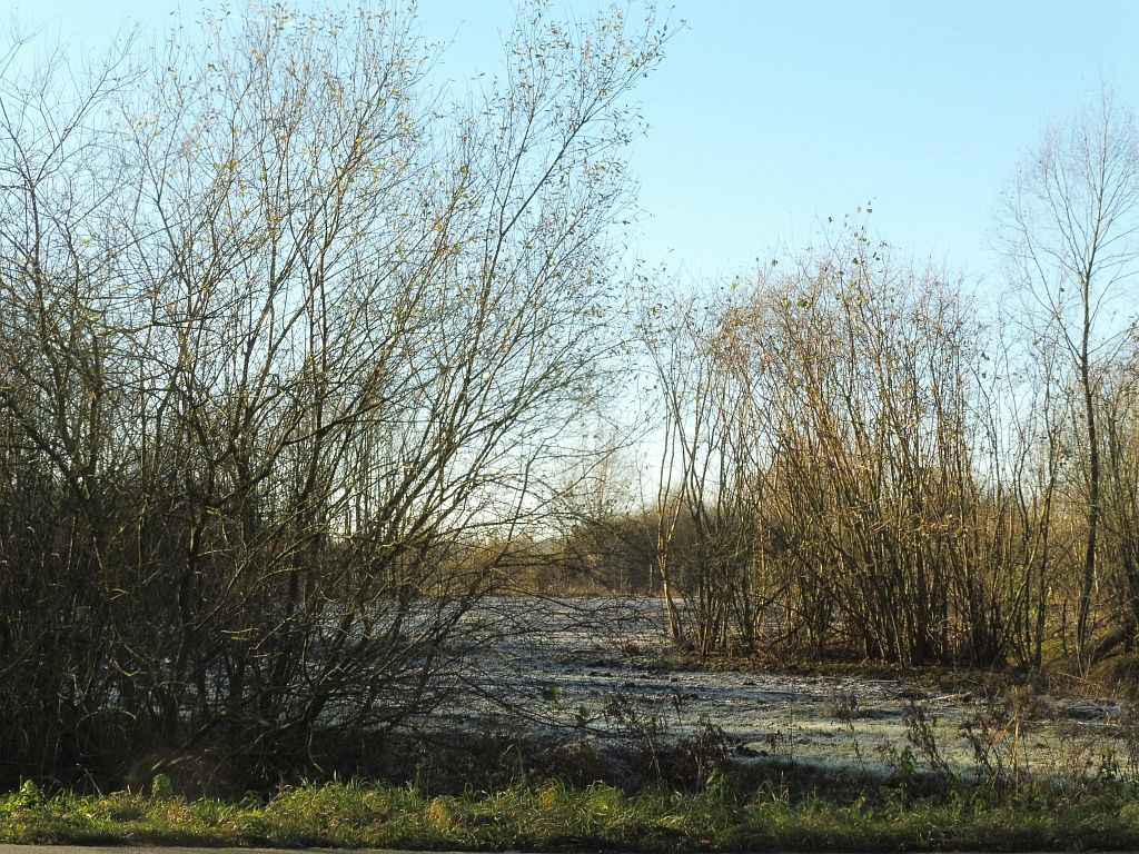 Ecologische Verbindingszone Bosrandweg - Aanleg - Amsterdam