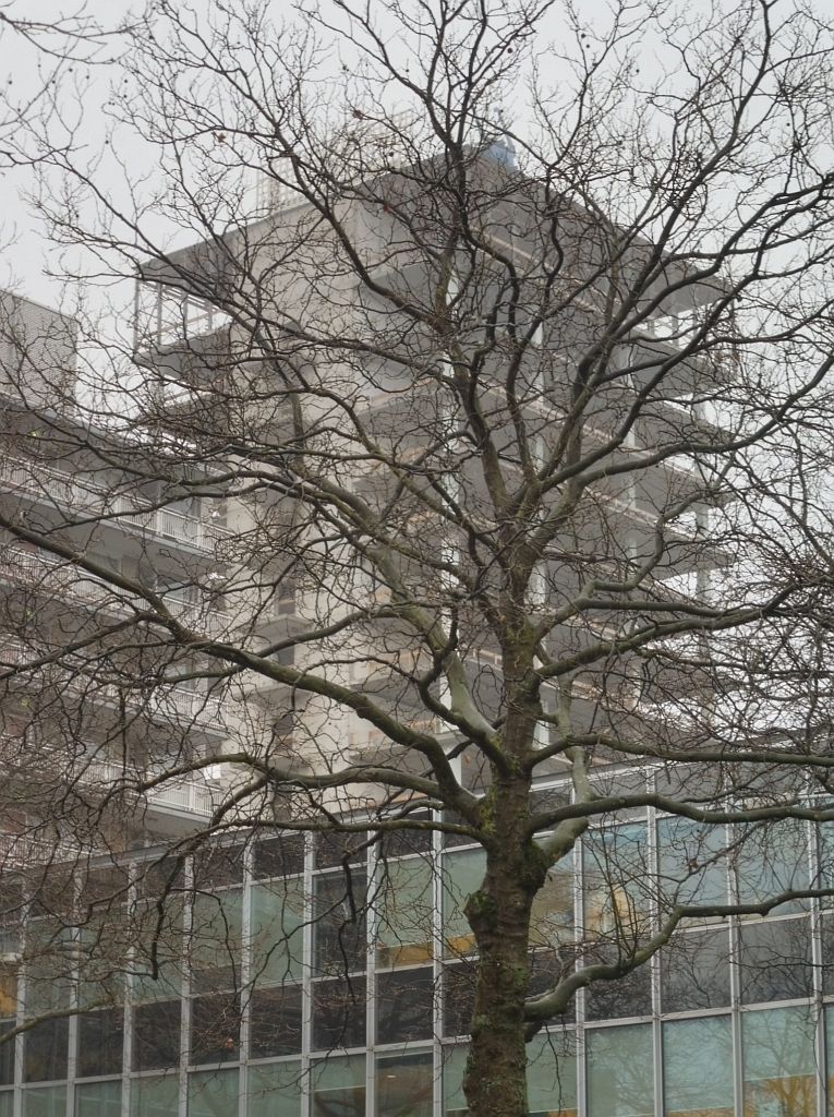 ParnassusToren - Renovatie - Amsterdam