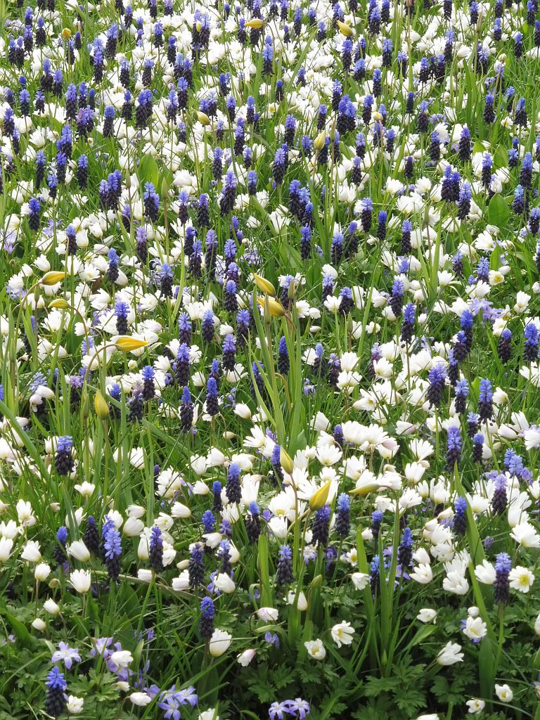 Bosbaanweg - Amsterdam