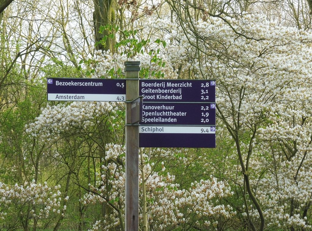 Fietspad tussen Hoofdentree en Klein Kinderbad - Krentenboom - Amsterdam