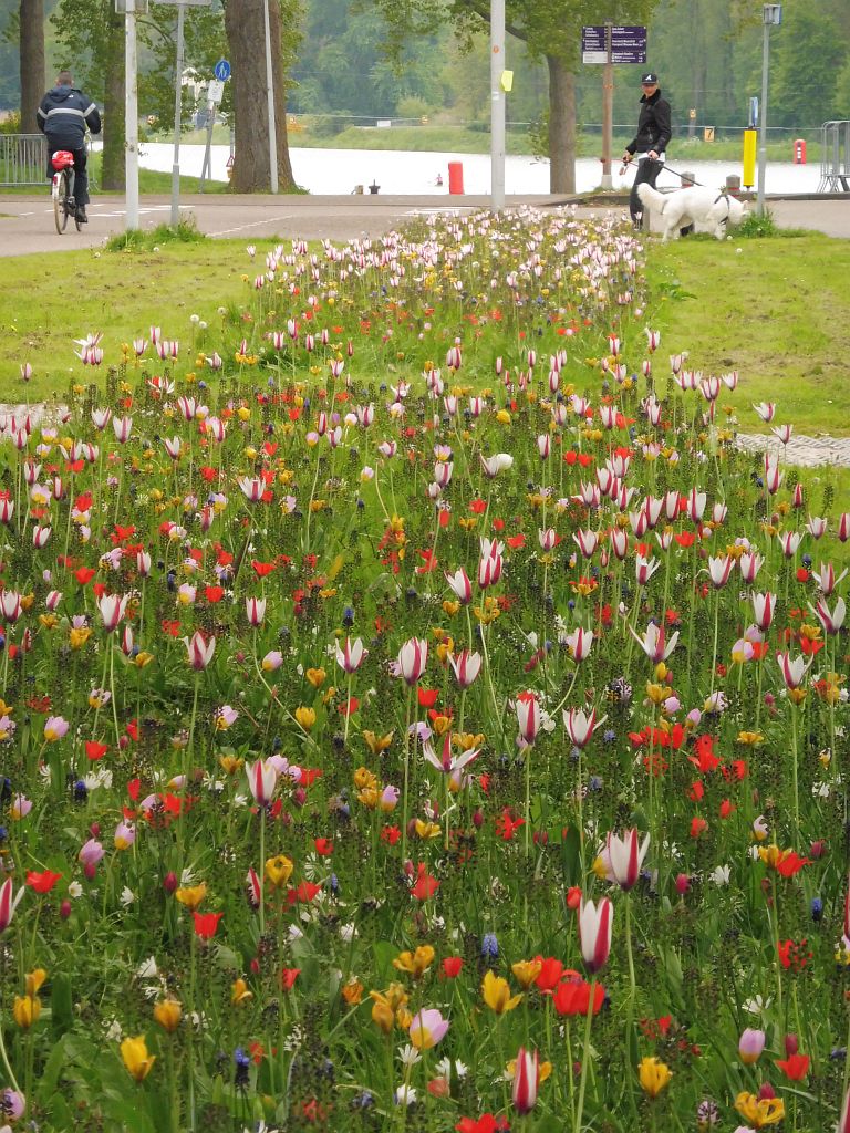 Bosbaanweg - Amsterdam