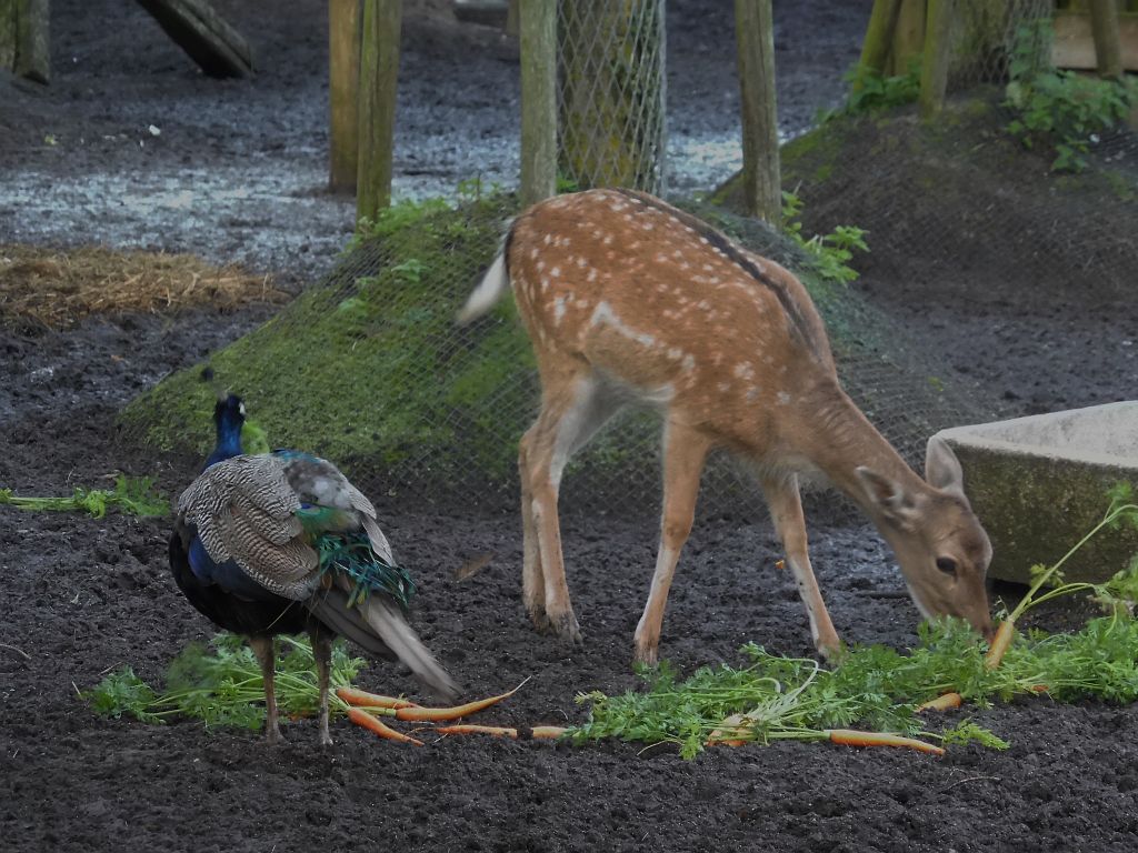 Boerderij Meerzicht - Amsterdam