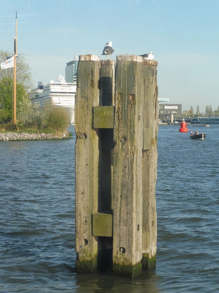 Aanlegplaats Buiksloterwegveer - Amsterdam