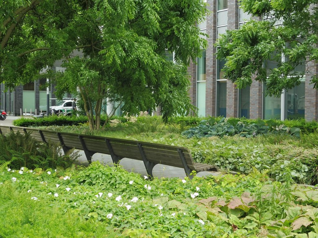 Barbara Strozzilaan - Amsterdam