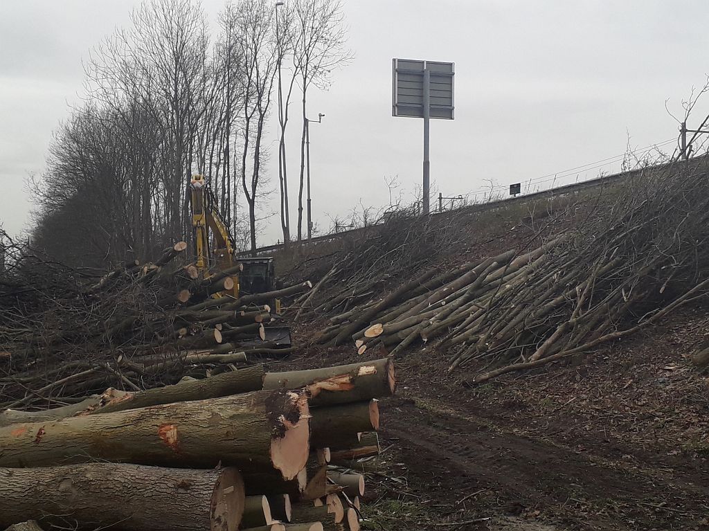 Ringweg A10 Zuid - Bomenkap voor Zuidasdok - Amsterdam
