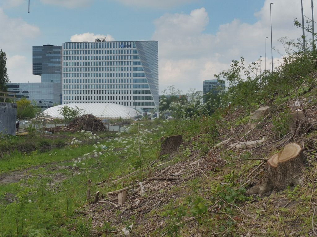 Ringweg A10 Zuid - Bomenkap voor Zuidasdok - Amsterdam