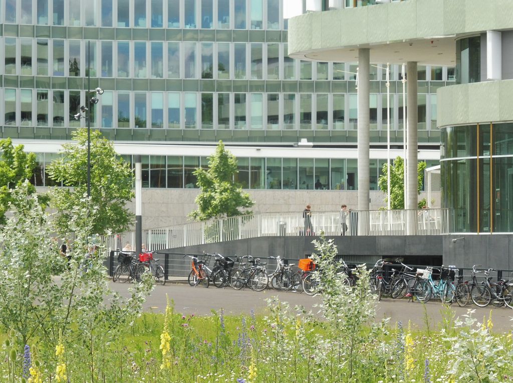 Beethovenplein - Amsterdam