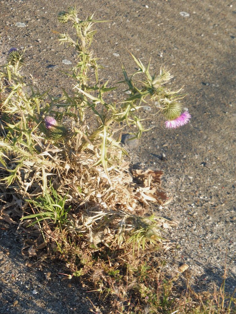 Platform Oost - Amsterdam