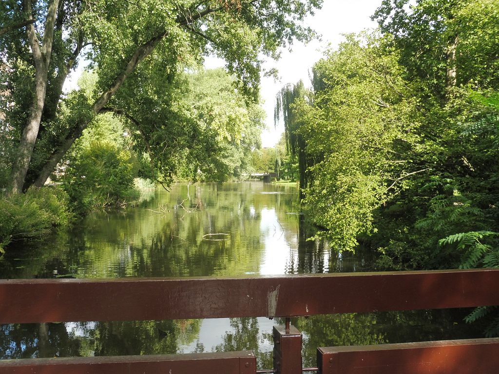 Gustav Leonhardt-Brug (Brug 449) - Beethovenvijver - Amsterdam