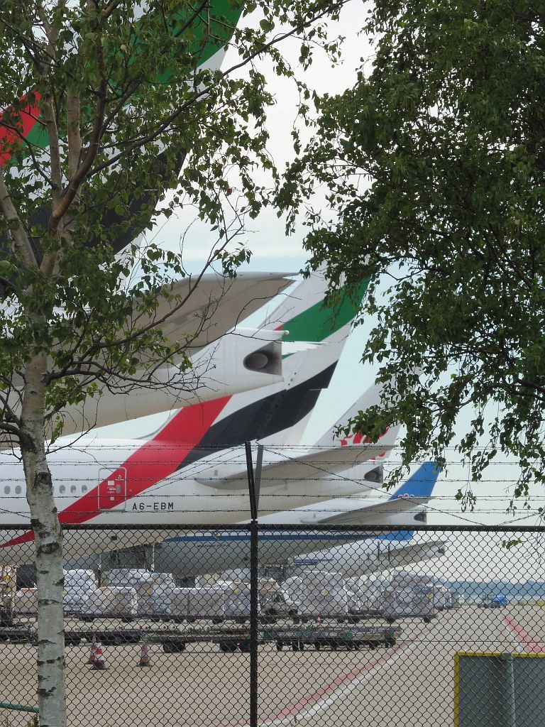 R Platform - A6-EBM Boeing 777-31H/ER - Amsterdam